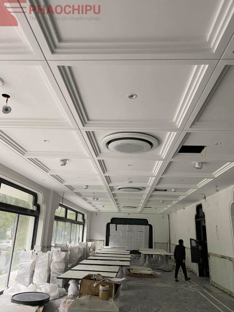 Thi công phào chỉ showroom, văn phòng dịch vụ
